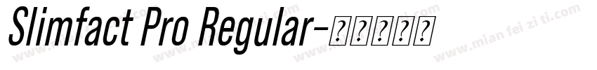 Slimfact Pro Regular字体转换